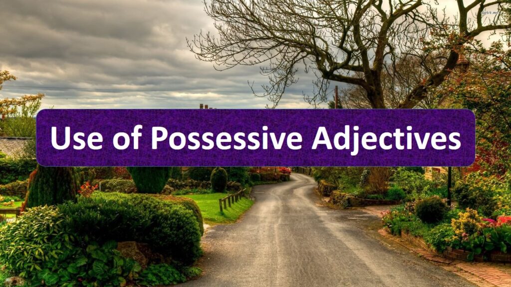 Use Of Possessive Adjectives In Hindi With Examples And Exercise With 