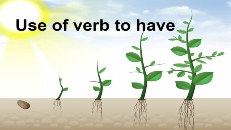 use-of-verb-to-have-in-english-grammar-in-hindi-use-of-had-use-of