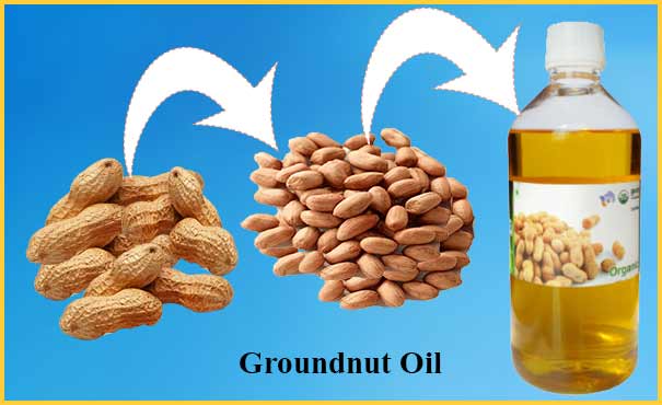 Groundnut oil Manufacturing Business hindi