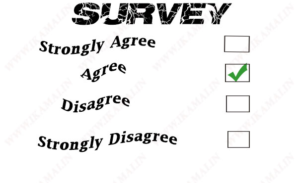 Survey business plan in hindi