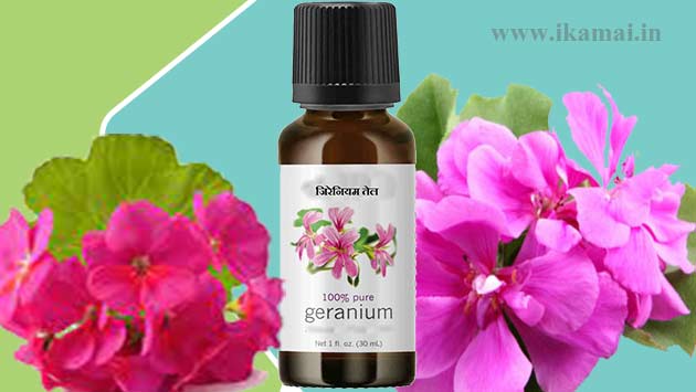 geranium oil banane ka business 